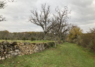 Paysage Dordogne