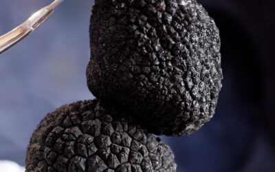 La Truffe du Périgord