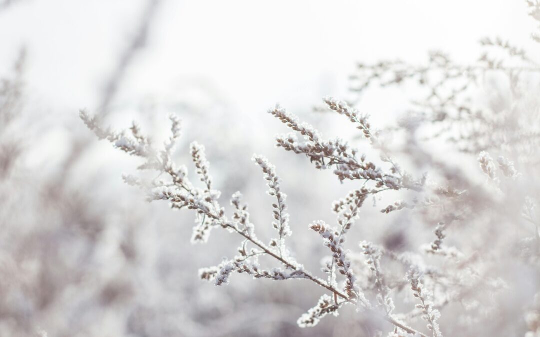 Que font les hébergeurs en Dordogne pendant l’hiver ?