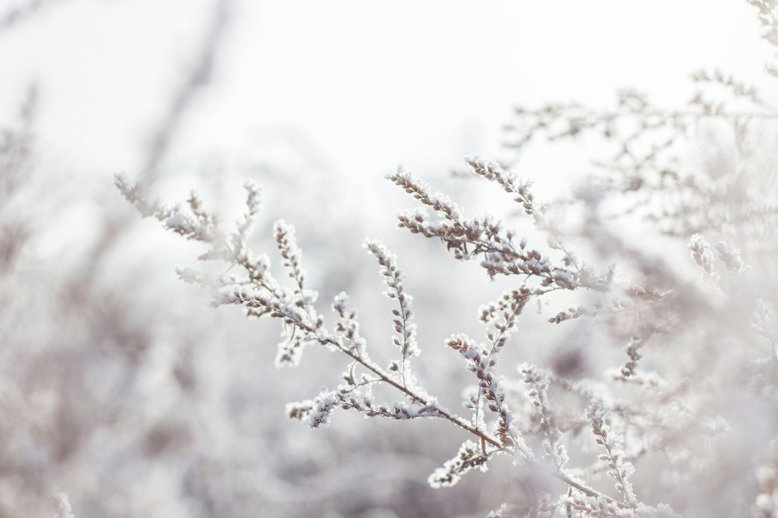 Que font les hébergeurs en Dordogne pendant l’hiver ?