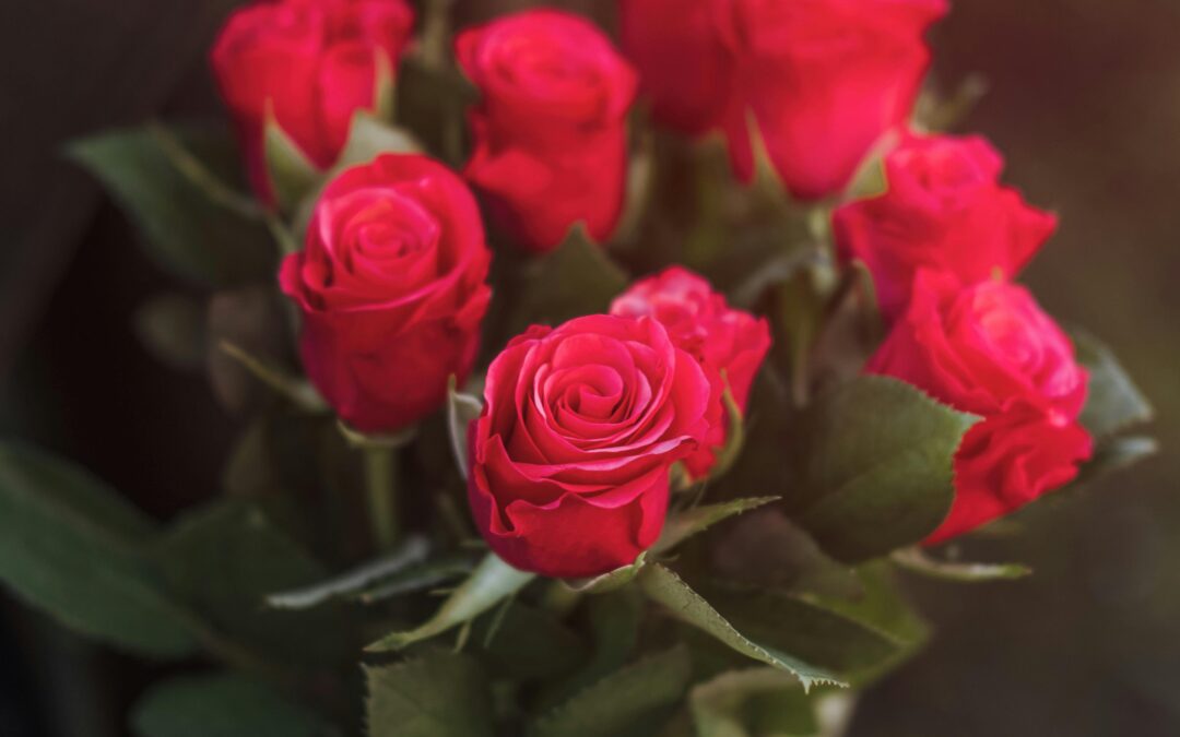 Fêtez la Saint-Valentin en Dordogne