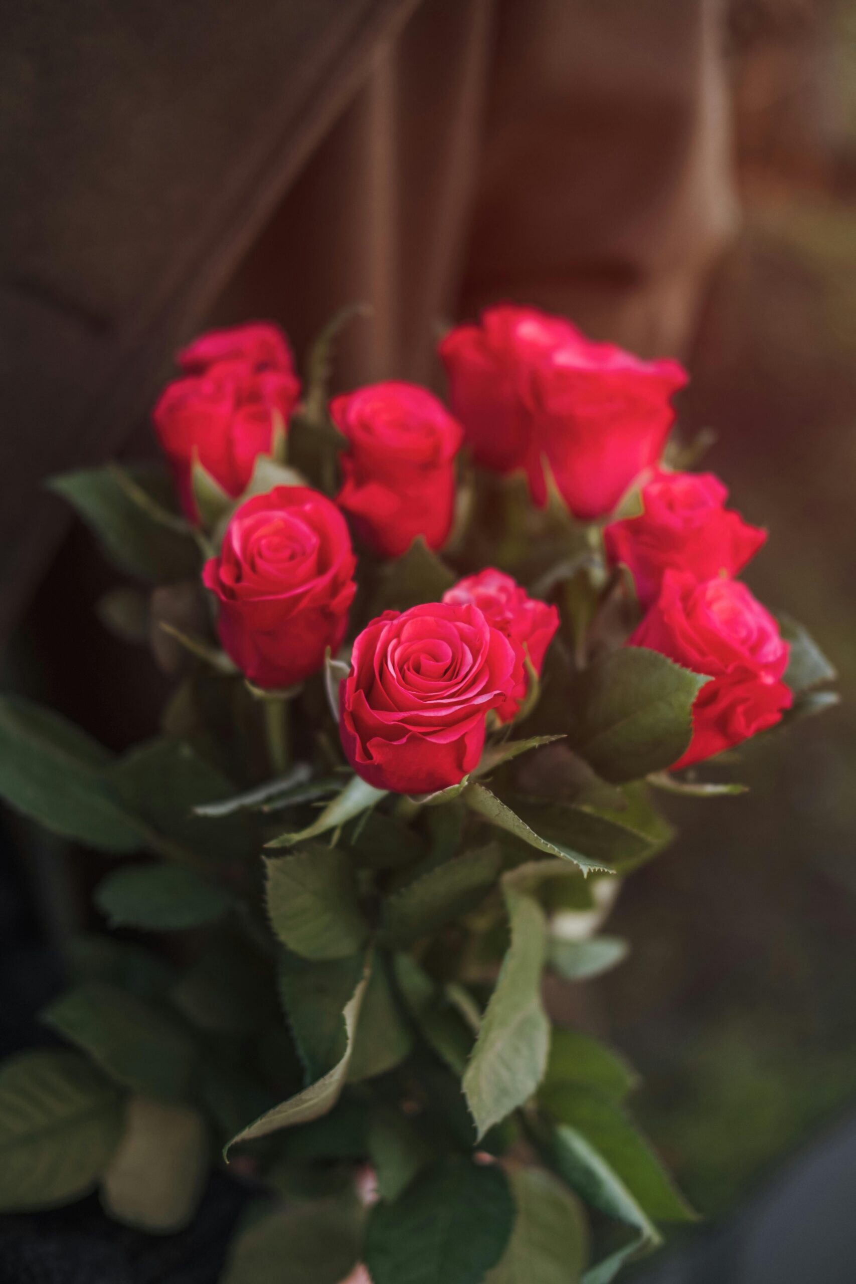 Fêtez la Saint-Valentin en Dordogne