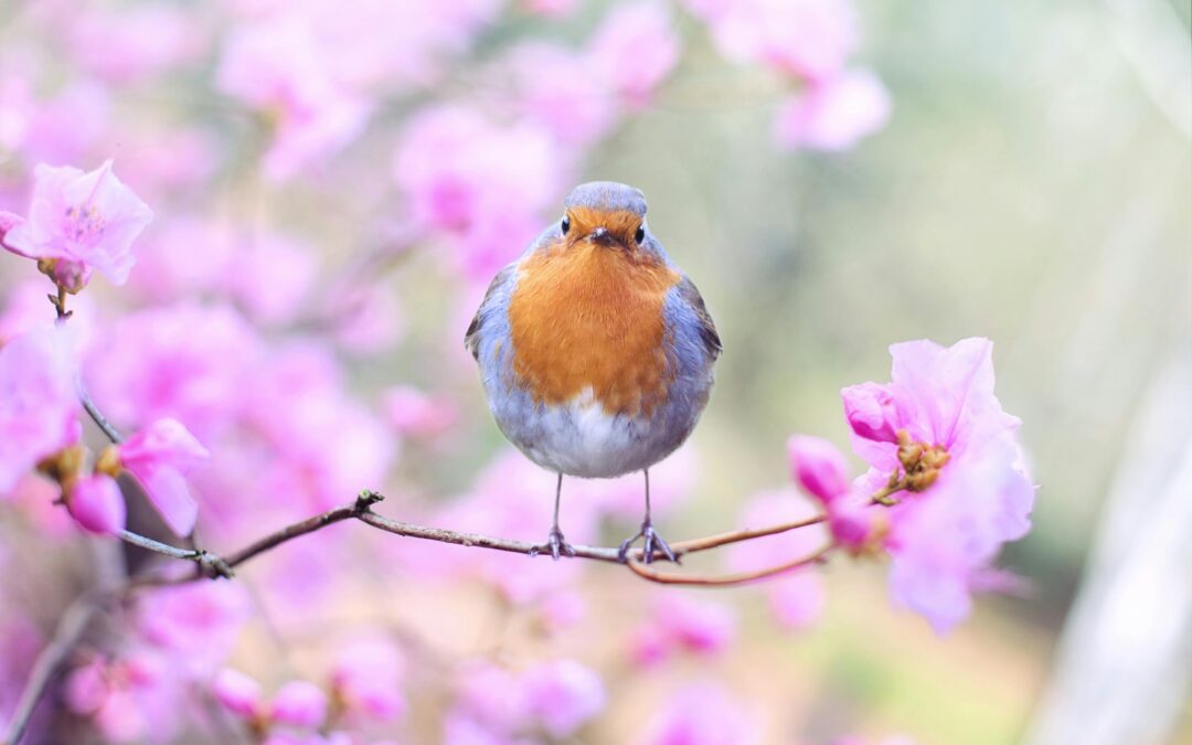 Profitez du printemps en Dordogne : Balades culturelles et aventures familiales